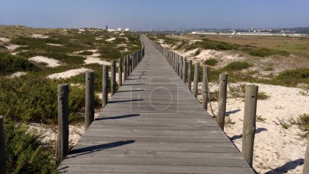 Photo for Point of view shot of riding a bicycle in Esmoriz, Ovar -  Portugal. Features a wide view of the bike track and the natural scenery as it travels. - Royalty Free Image