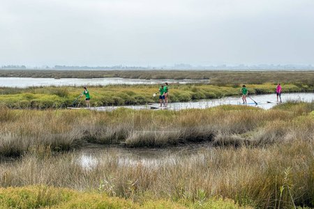 Photo for MURTOSA, PORTUGAL - CIRCA JUNE 2023: Tourists practicing stand up paddle on a walk through the channels of Ria de Aveiro. Tourism is a fundamental economic activity in Portugal. - Royalty Free Image