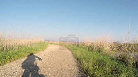 Foto de Punto de vista plano de montar en bicicleta en Estarreja, Portugal. Cuenta con una amplia vista de la pista de bicicletas y el paisaje natural mientras viaja
. - Imagen libre de derechos