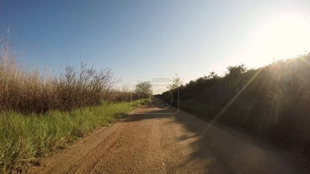 Foto de Punto de vista plano de montar en bicicleta en Estarreja, Portugal. Cuenta con una amplia vista de la pista de bicicletas y el paisaje natural mientras viaja
. - Imagen libre de derechos