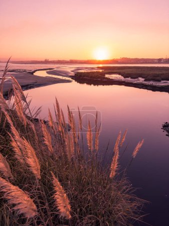 Photo for View of sunset on Ria de Aveiro, Ovar, Portugal. - Royalty Free Image