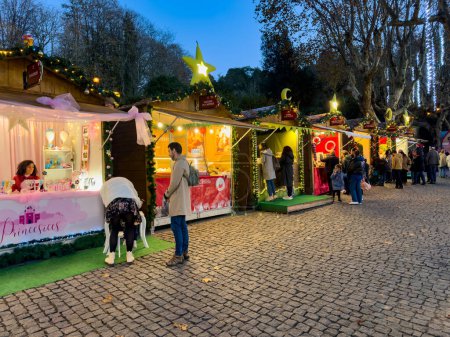 Téléchargez les photos : Santa Maria da Feira, Portugal - 2 décembre 2023 : Point de vue d'un marcheur sur les rues de la ville décorées de lumières de Noël. La décoration reste la même dans tout le parc à thème Perlim. - en image libre de droit