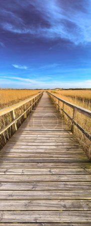 Wooden structure on the footbridges of Barrinha de Esmoriz with water from the Paramos lagoon, Portugal.