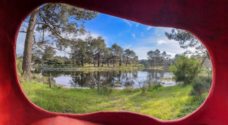 Téléchargez les photos : Vue panoramique du parc naturel de Bucaquinho, Ovar, au nord du Portugal
. - en image libre de droit