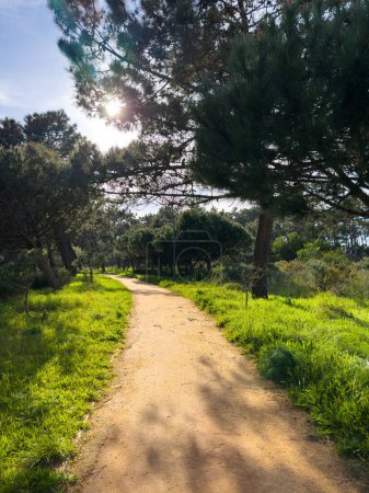 Vista panorámica del Parque Natural de Bucaquinho, Ovar, norte de Portugal
.