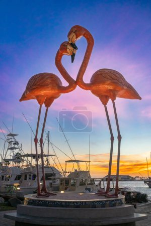 Photo for Flamingos at harbor at Oranjestad, Aruba during sunset. - Royalty Free Image
