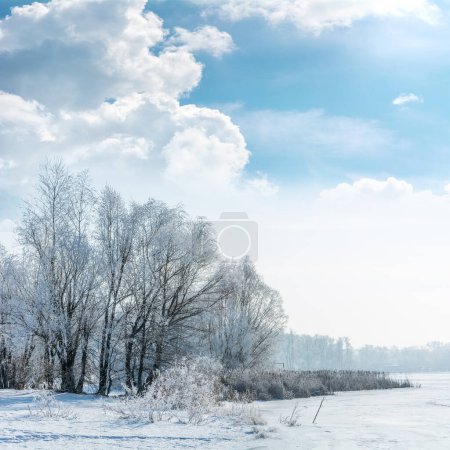 Foto de Paisaje invernal, árboles en las heladas - Imagen libre de derechos