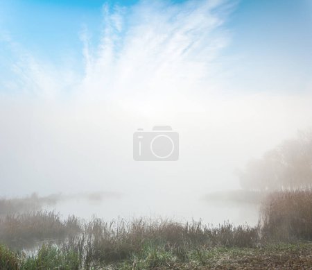 Téléchargez les photos : Mystérieuse côte forestière dans le brouillard - en image libre de droit