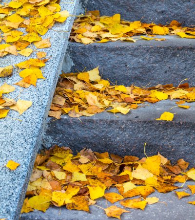 Téléchargez les photos : Bright yellow fallen leaves on granite steps - en image libre de droit