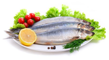 Photo for Salted herring with red tomato and parsley - Royalty Free Image