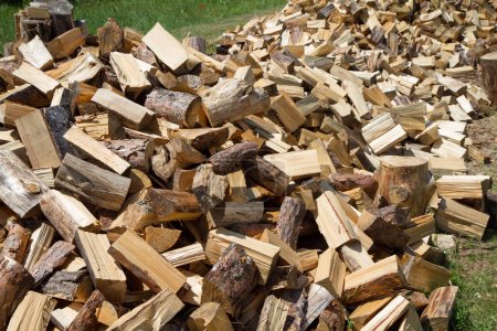 Téléchargez les photos : Empilement de troncs d'arbres hachés, stockés pour le bois de chauffage - en image libre de droit