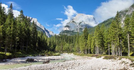 Vallée Val Travenanzes et rivière Rio Travenanzes à Tofane gruppe avec forêt d'épinettes, Alpes Dolomites, Parc national des Fanes, Italie