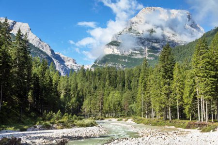 Val Travenanzes und Rio Travenanzes in der Tofane Gruppe mit Fichtenwäldern, Dolomiten Alpen, Fanes Nationalpark, Italien