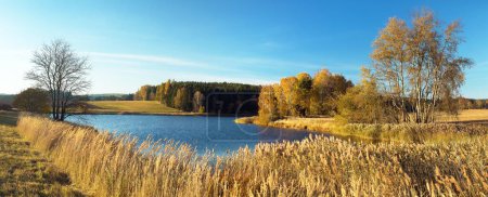 vue d'automne de l'étang avec paysage forestier d'automne, étang Divka, Hamry nad Sazavou près de Zdar nad Sazavou, Bohême et Moravie, République tchèque