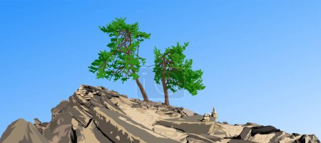Trees, two pine trees on hill isolated on blue sky background