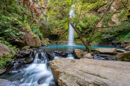 Téléchargez les photos : Catarata La Cangreja - Cascade cachée entourée d'arbres verts, de végétation, de rochers, de feuilles flottant sur des eaux vertes et claires, Parc national du Rincon de la Vieja, Costa Rica - en image libre de droit