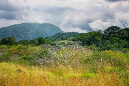 Photo for Landscape of the Rincon de La Vieja Volcano and National Park in Guanacaste, Costa Rica - Royalty Free Image