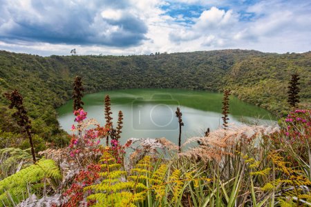 Foto de Lago Guatavita (Laguna Guatavita) ubicado en la Cordillera Oriental de los Andes colombianos. Lugar sagrado de los indios nativos de Muisca. Departamento de Cundinamarca, Colombia paisaje salvaje. - Imagen libre de derechos