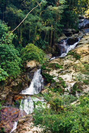 Petite rivière cascade dans la jungle. Dur trek aux ruines antiques cachées de la civilisation Tayrona Ciudad Perdida dans la jungle colombienne. Montagnes de Santa Marta, Sierra Nevada, Colombie paysage sauvage.