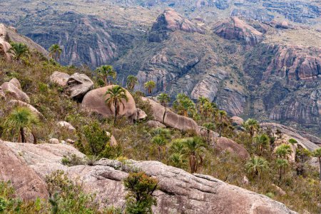 Téléchargez les photos : Parc national d'Andringitra, région de Haute Matsiatra, Madagascar, magnifique paysage de montagne. Randonnée dans les montagnes d'Andringitra. Journée ensoleillée avec ciel bleu. Madagascar nature sauvage paysage de montagne. - en image libre de droit
