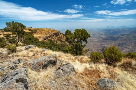 hermoso paisaje del Parque Nacional de las Montañas Semien o Simien en el norte de Etiopía, cerca de Lalibela y Gondar. África salvaje
.
