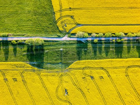 Top bird eye view of country road and yellow rapeseed field. Warm sunny spring day. Blooming canola field. Aerial view landscape. Beautiful yellow colored landscape with blue sky. Czech Republic