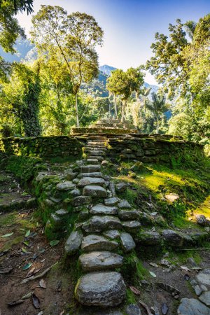 Escaleras de piedra en ruinas antiguas escondidas de la civilización Tayrona Ciudad Perdida en el corazón de la selva colombiana Ciudad perdida de Teyuna. Santa Marta, Sierra Nevada, Colombia