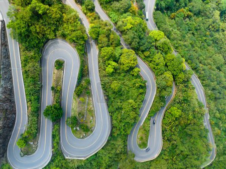Photo for Aerial view of green forest with a curvy road - Royalty Free Image