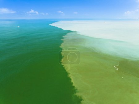 Foto de Vista aérea de la mancha aceitosa sucia y la contaminación en el mar - Imagen libre de derechos