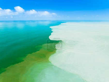 Téléchargez les photos : Vue aérienne de la tache huileuse sale et de la pollution sur la mer côtière - en image libre de droit
