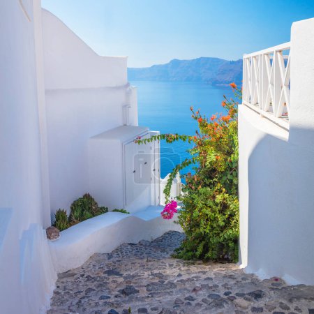 Téléchargez les photos : Grèce, île de Santorin, Oia - architecture blanche d'une rue étroite avec des fleurs, des marches mènent à la mer. Îles Grecques, Santorin, Vacances en Europe - en image libre de droit
