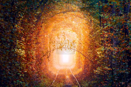 Foto de Túnel mágico de árboles otoñales con ferrocarril viejo - Túnel de amor. Túnel natural de amor formado por árboles. Rael otoño otoño paisaje. Ucrania - Imagen libre de derechos