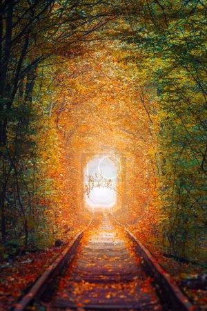 Téléchargez les photos : Paysage d'automne - Fantastique tunnel des arbres d'automne avec vieux chemin de fer - Tunnel de l'amour. Tunnel naturel d'amour formé par les arbres. Ukraine - en image libre de droit