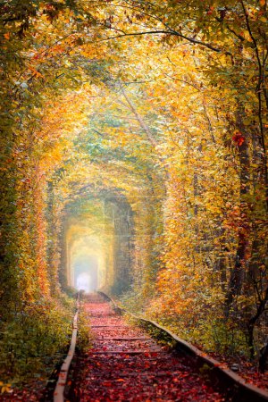 Foto de Golden Autumn Trees Tunnel with old railway - Tunnel of Love (en inglés). Túnel natural de amor formado por árboles. Ucrania. Paisaje de otoño - Imagen libre de derechos