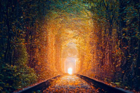 Foto de Túnel mágico de árboles otoñales con ferrocarril viejo - Túnel de amor. Túnel natural de amor formado por árboles. Ucrania. Otoño otoño temporada paisaje - Imagen libre de derechos