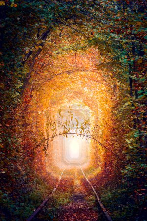 Foto de Fantástico Túnel de Árboles de Otoño con viejo ferrocarril - Túnel de Amor. Túnel natural de amor formado por árboles. Ucrania. Real paisaje otoñal de la naturaleza - Imagen libre de derechos