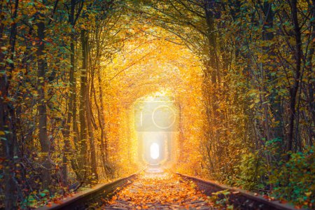 Foto de Paisaje de temporada de otoño - Fantástico túnel de árboles de otoño con ferrocarril viejo - Túnel de amor. Túnel natural de amor formado por árboles. Ucrania - Imagen libre de derechos