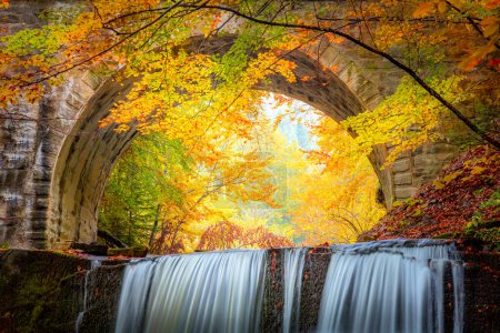 Foto de Fantástico otoño Paisaje otoñal - cascada de río en colorido parque forestal otoñal con hojas amarillas rojas con puente viejo, fondo de pantalla - Imagen libre de derechos