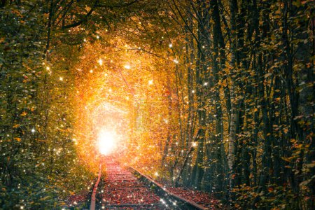 Foto de Lugar de la chispa de hadas - Túnel de árboles de otoño con ferrocarril viejo - Túnel de amor. Túnel místico de amor formado por árboles. Misterio del paisaje otoñal. Ucrania - Imagen libre de derechos
