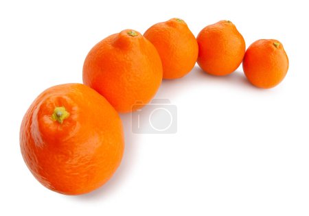 Photo for Minneola tangelo tangerine path isolated on white - Royalty Free Image