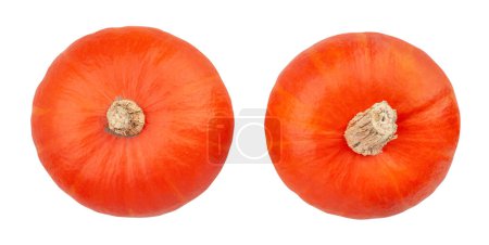 red kuri squash path isolated on white top view