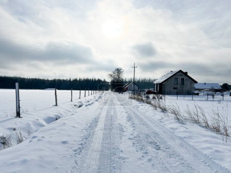 Rural dirt road among trees in winter conditions.