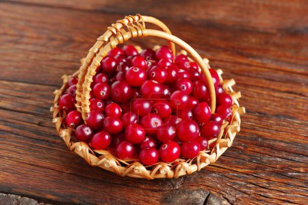 Photo for Fresh red forest cranberry in wicker basket on rustic wooden table - Royalty Free Image