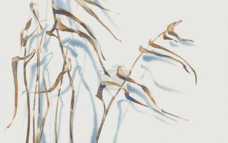 Dried vater grass with a shadow on white watercolor background. Winter illustration
