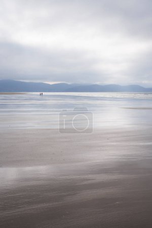 Téléchargez les photos : Un couple marchant sur une vaste plage vide par temps couvert. Inch Beach, Wild Atlantic Way, comté de Kerry, Irlande. - en image libre de droit