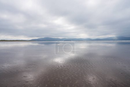 Photo for Cloudy sky reflecting in wet sand of Inch Beach on Dingle Peninsula. Wild Atlantic Way, County Kerry, Ireland. - Royalty Free Image