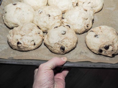 Foto de Proofed buns with chocolate chip, on baking tray, on its way into the oven - Imagen libre de derechos