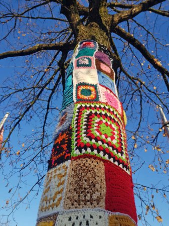 Photo for Guerilla knitting on tree in the city - Royalty Free Image
