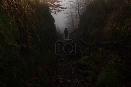 Foto de Viejo expuesto hueco camino grande huevo cerca de Cuerno-Bad Meinberg en la niebla - Imagen libre de derechos