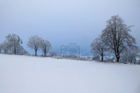 Téléchargez les photos : Paysage avec brouillard et neige - en image libre de droit